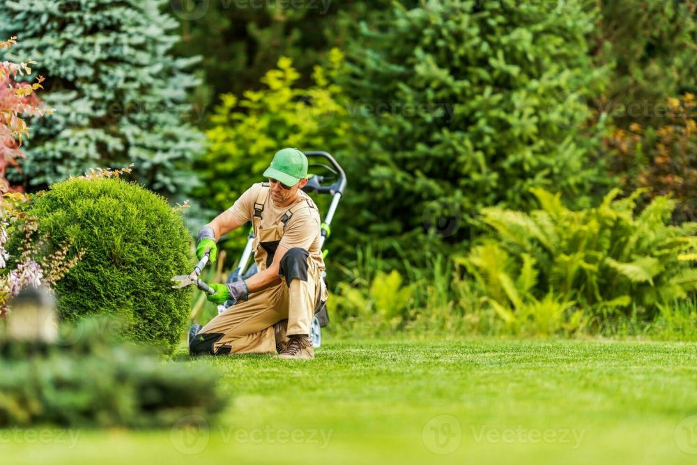 Transforming Gardens into Masterpieces